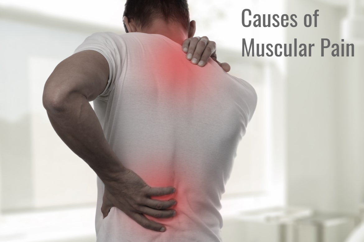 causes of muscular pain