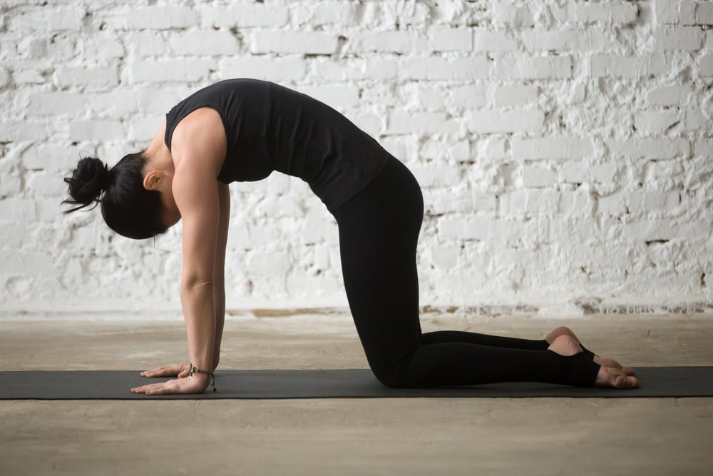 yoga cat/cow stretch